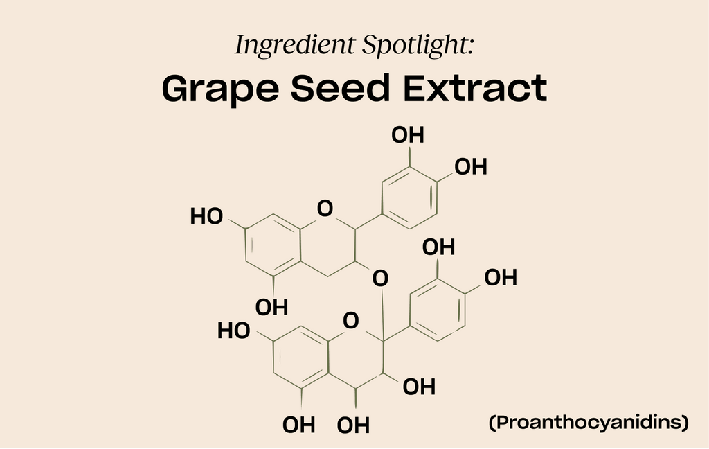 Ingredient Spotlight: Grape Seed Extract