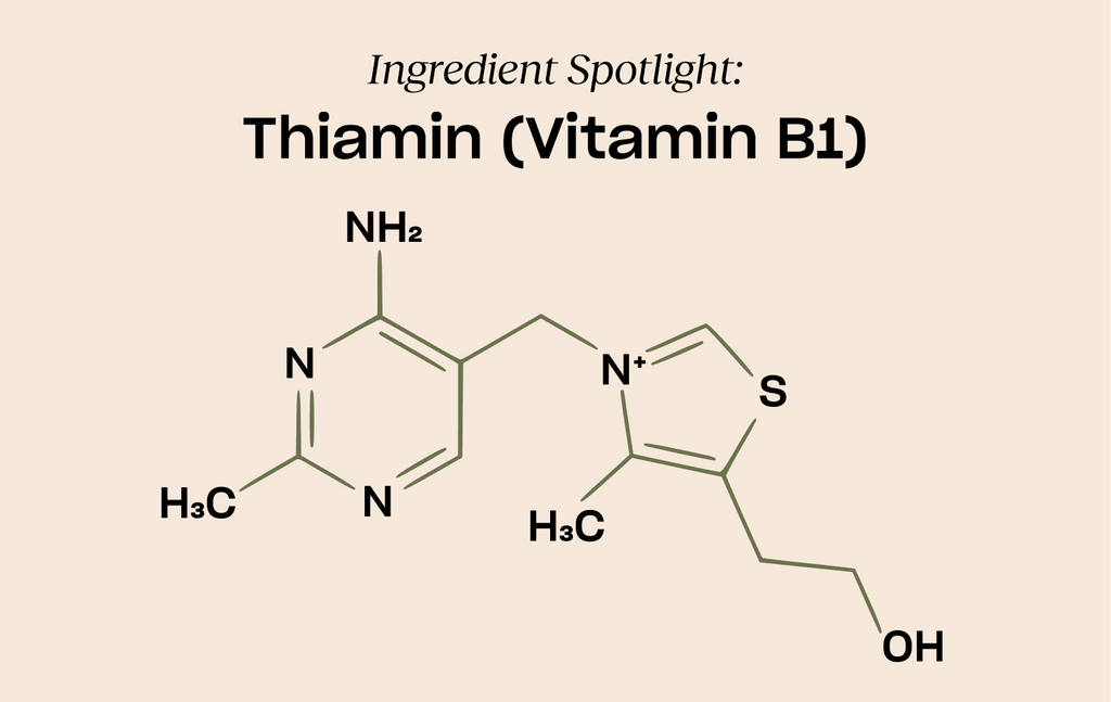 Ingredient Spotlight: Thiamin (Vitamin B1)
